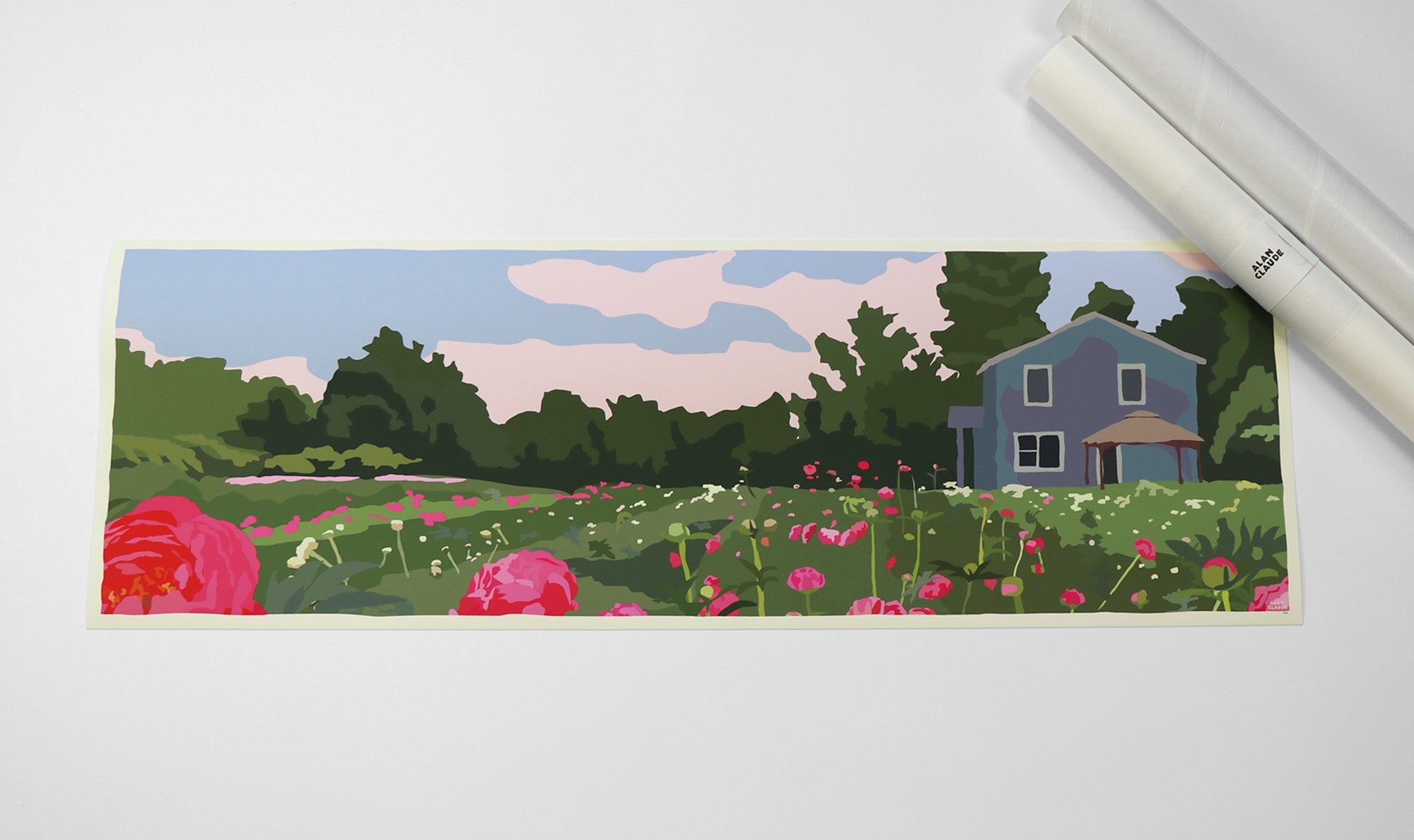 Peonies Art Print 12" x 36" Poster - Maine