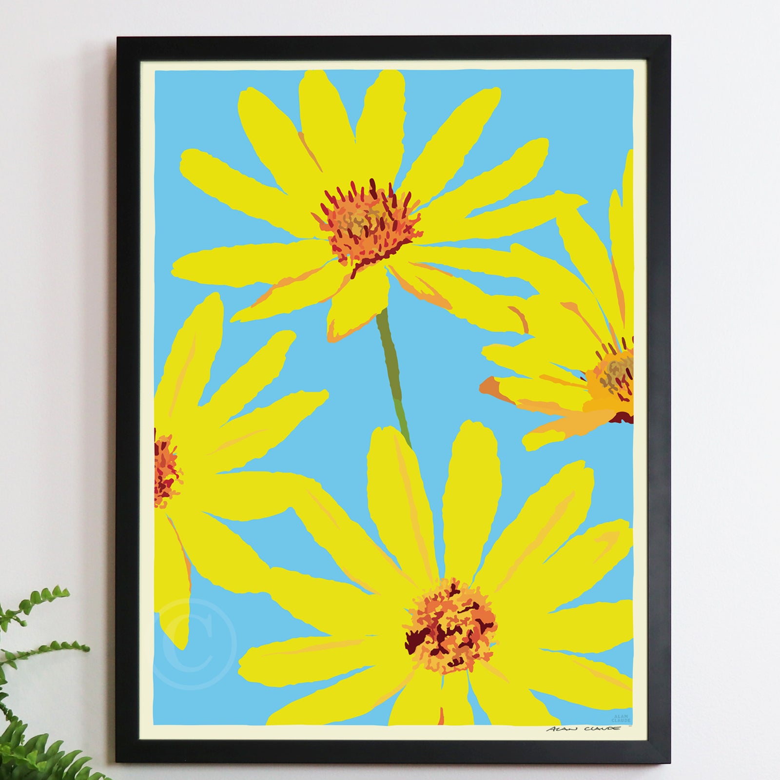 Joy Daisies Art Print 18" x 24" Framed Wall Poster By Alan Claude - Maine