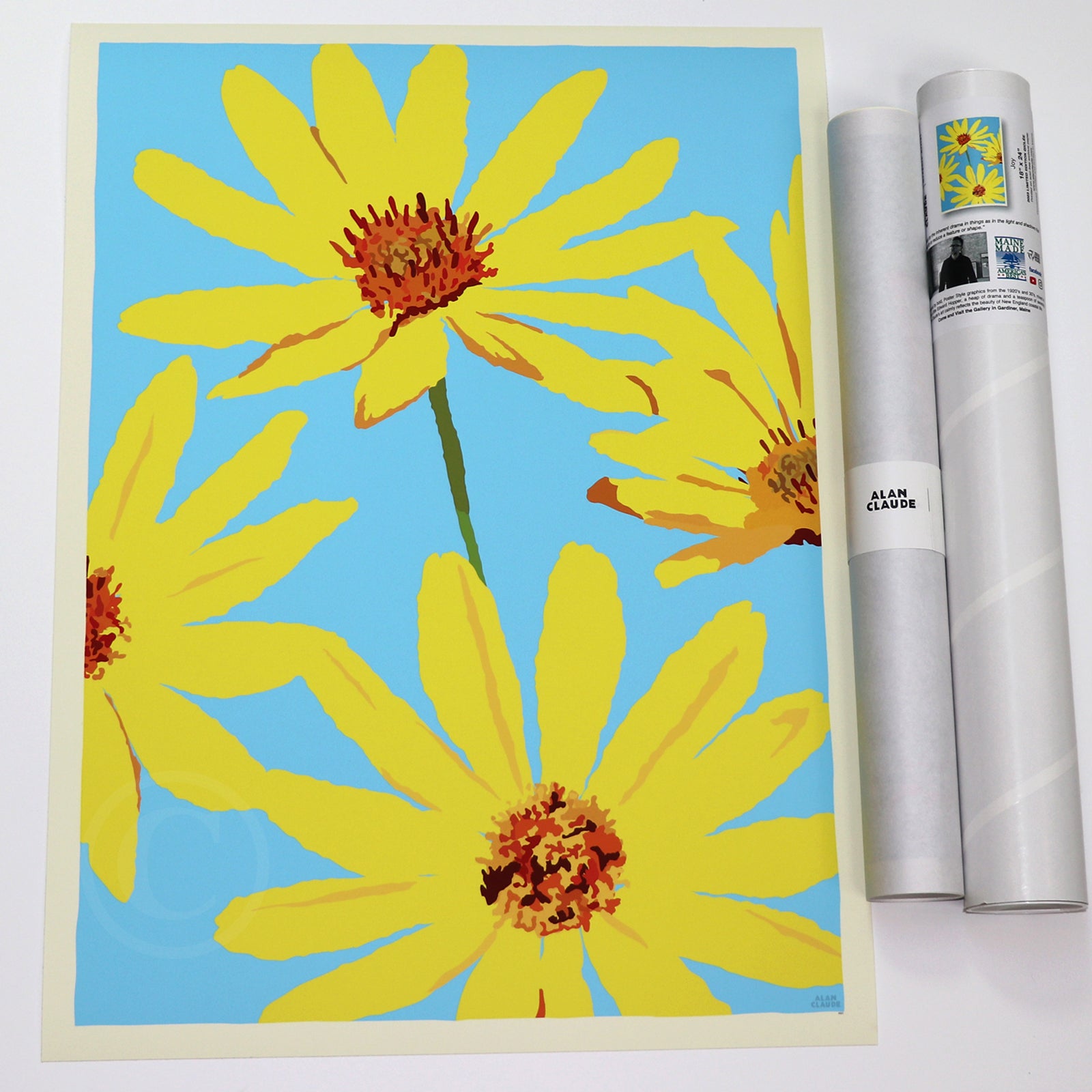 Joy Daisies Art Print 18" x 24" Wall Poster By Alan Claude - Maine