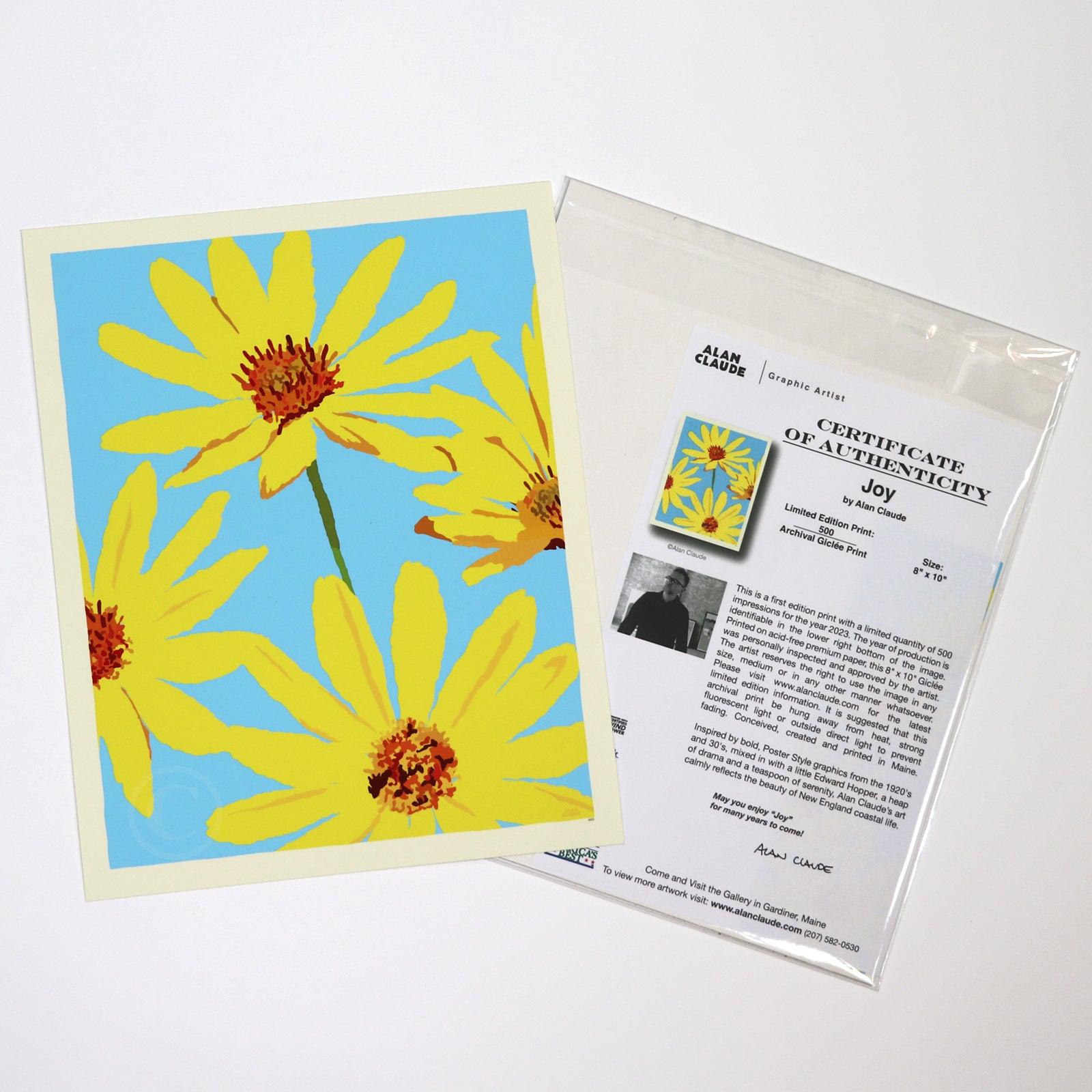 JOY Daisies Art Print 8" x 10" Wall Poster By Alan Claude - Maine