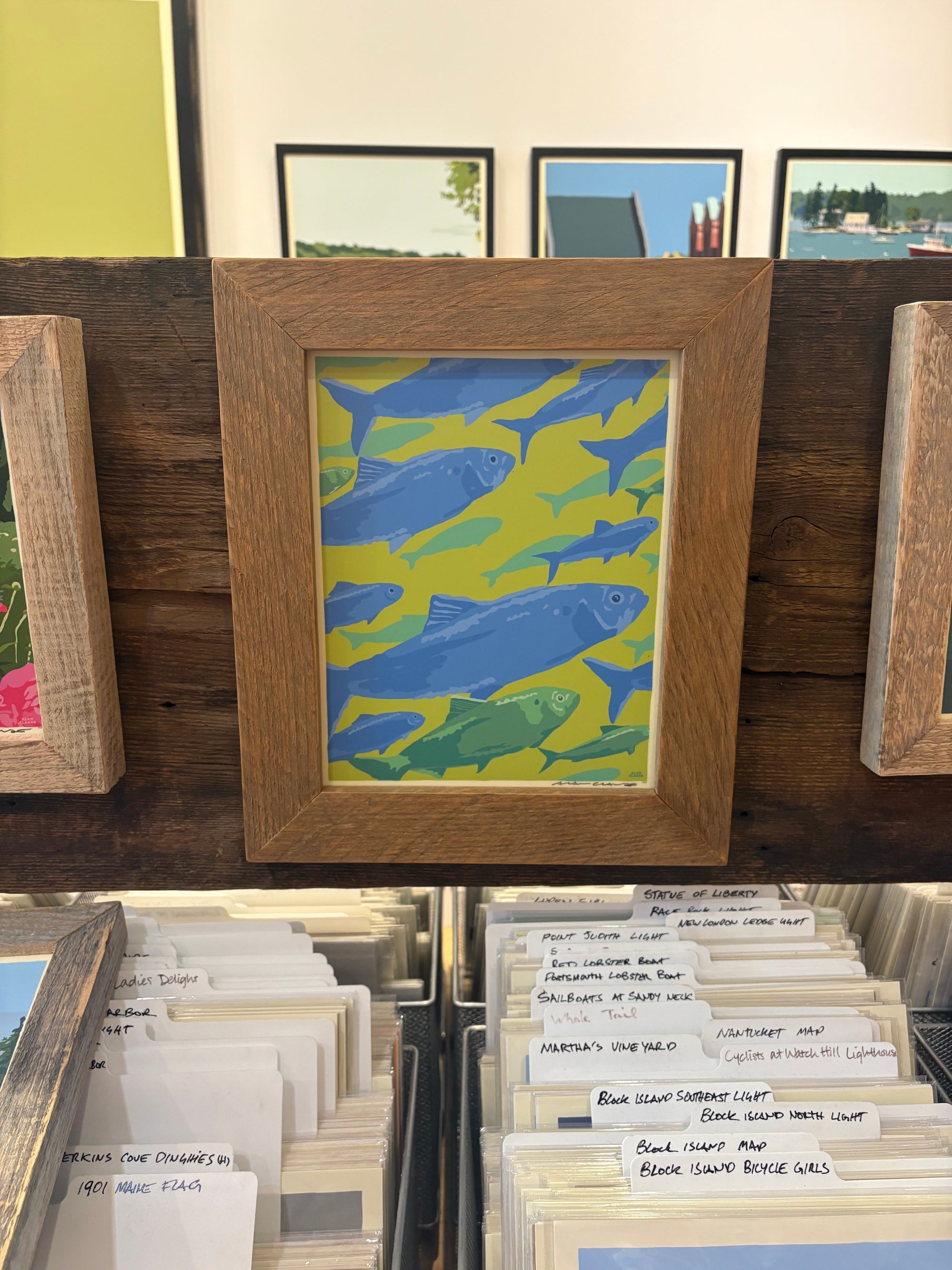 MAINE WOOD FRAMED 8" x 10" Alewives On The Move
