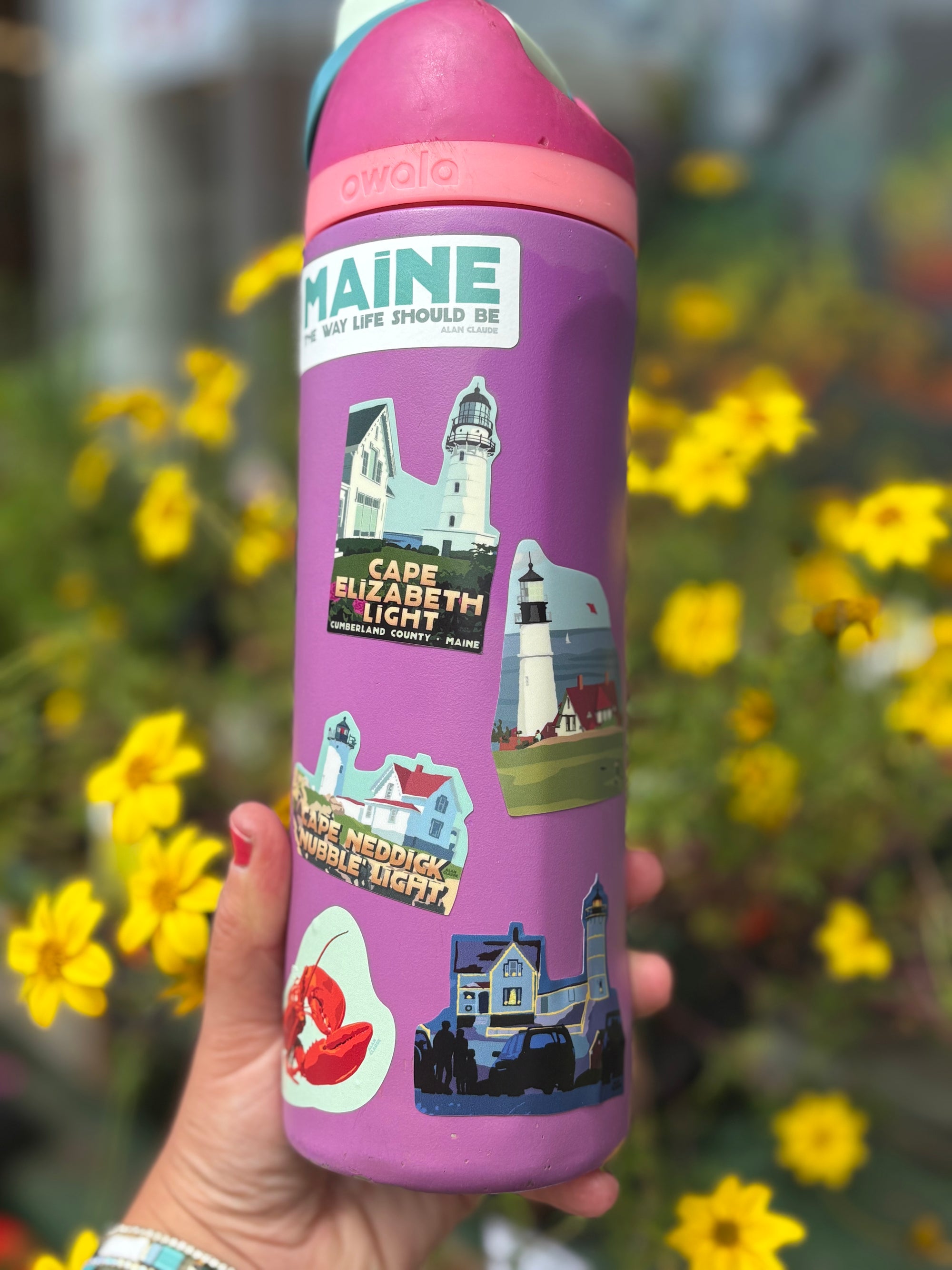 Cape Neddick Stickers - Large