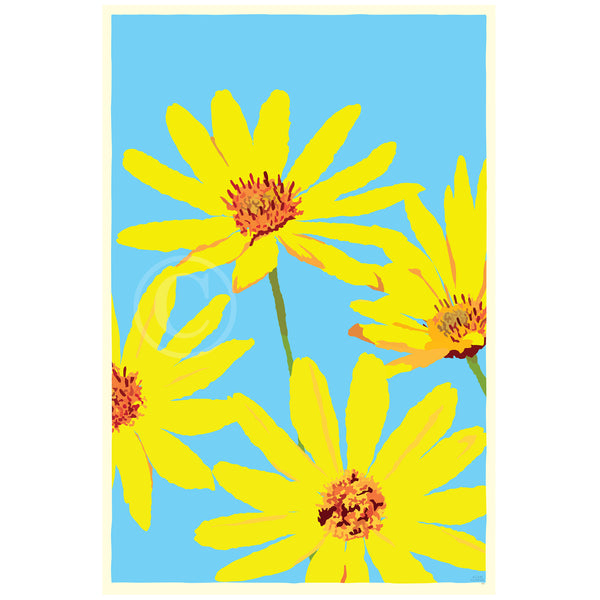 JOY Daisies Art Print 24