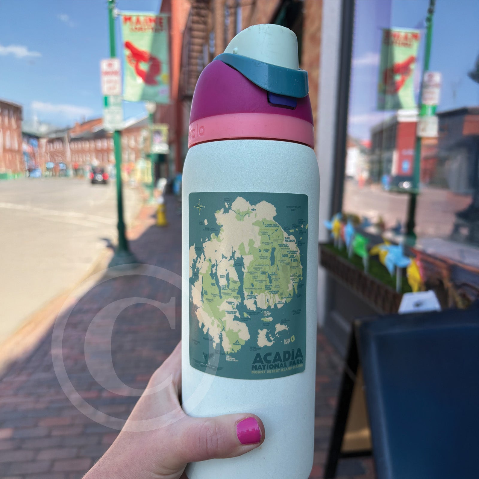 Acadia Map Sticker