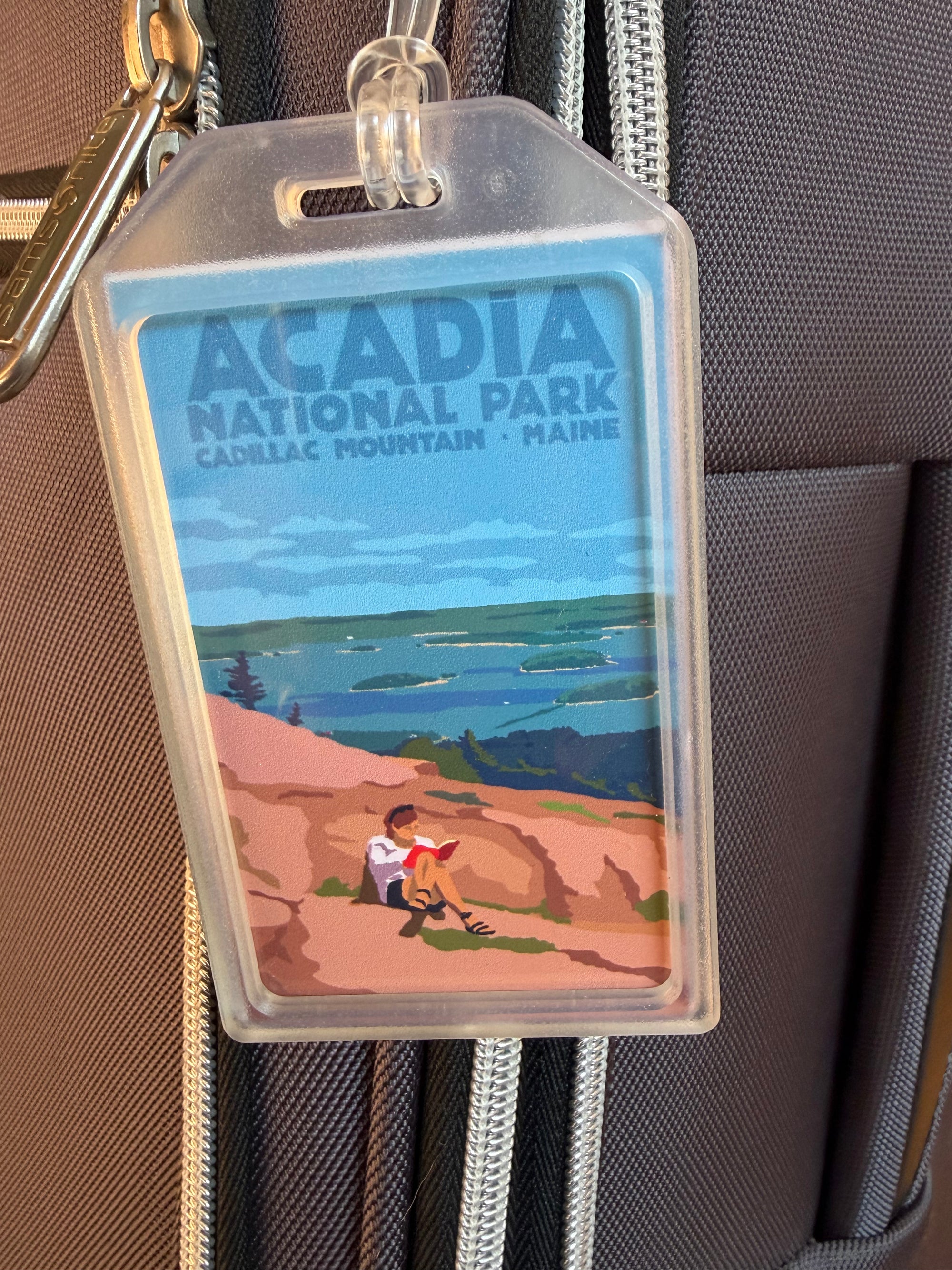 Good Book in Acadia Luggage Tag