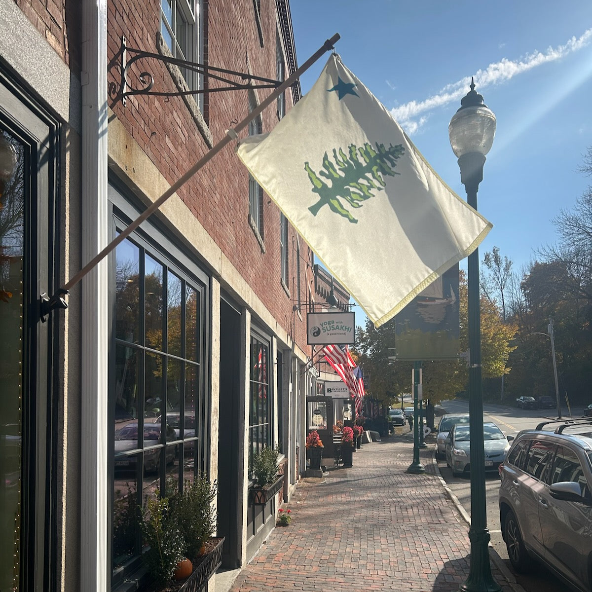 1901 Maine Flag original