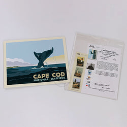 Cape Cod Whale Tail Art Print